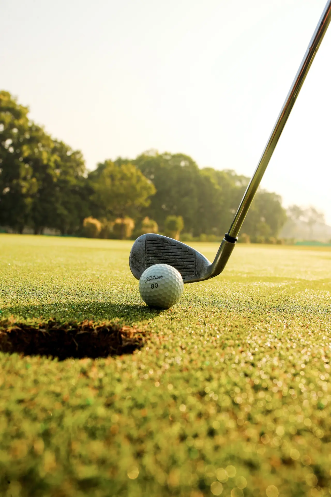Golf club and ball beside a hole on a sunlit green