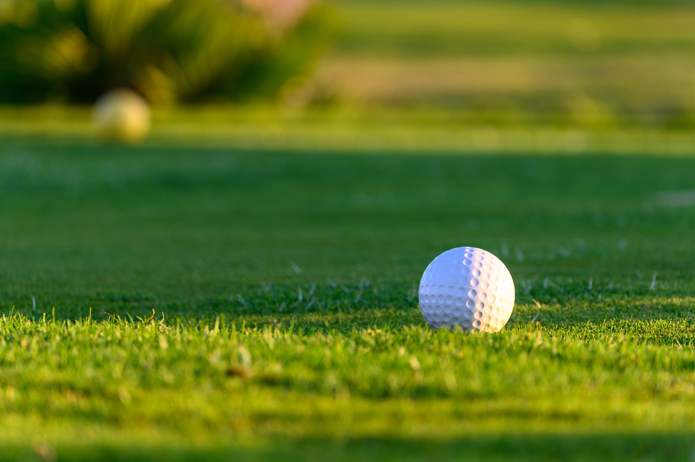 Golf ball on sunlit grass